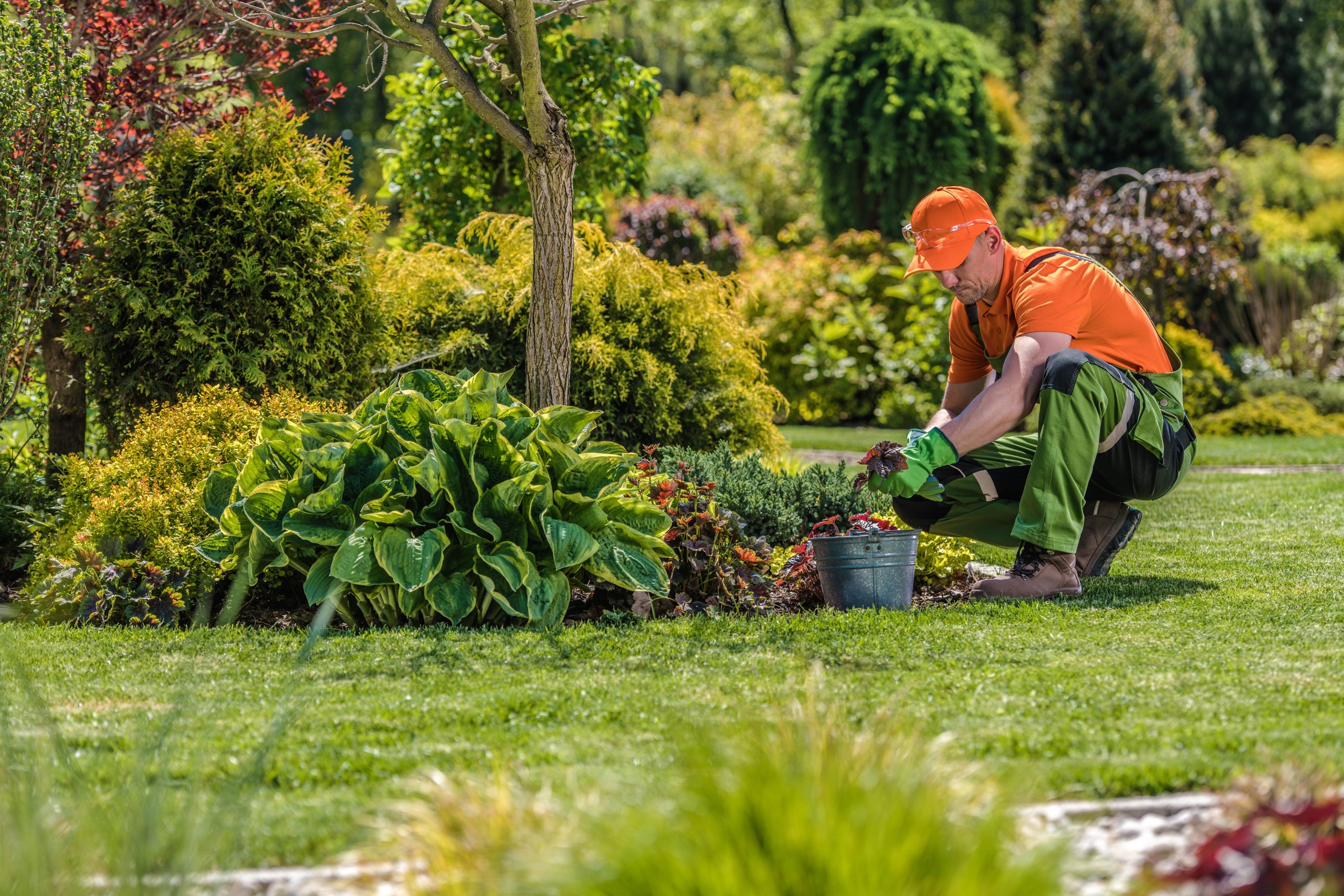 Commercial Landscape Enhancement Cincinnati Commercial Landscape Enhancement Cincinnati