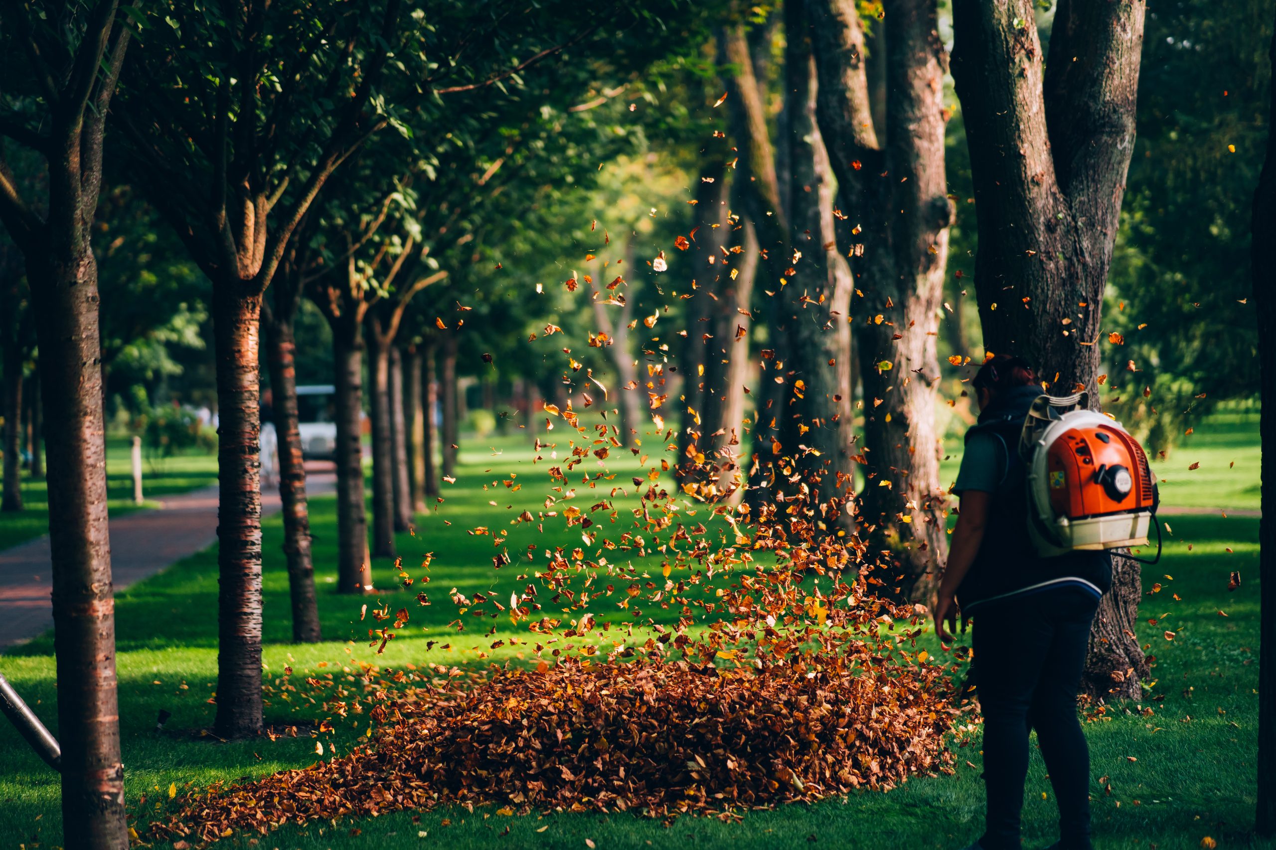 Commercial Property Cleanup