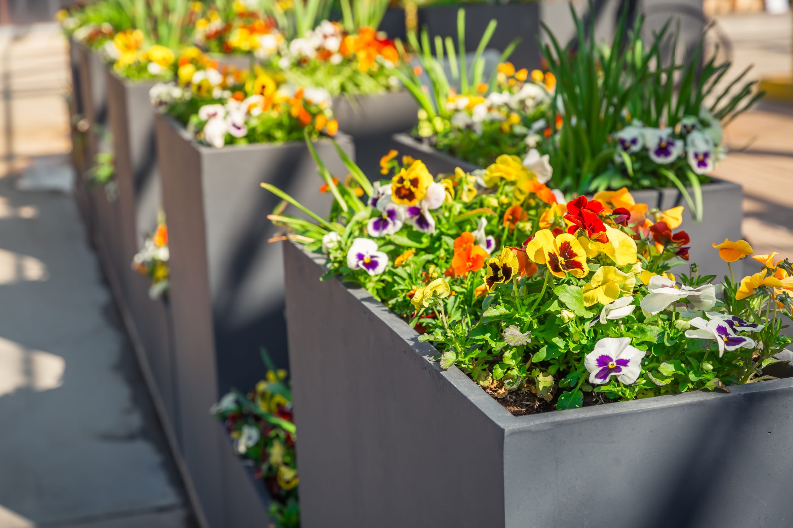 Custom Planters Cincinnati