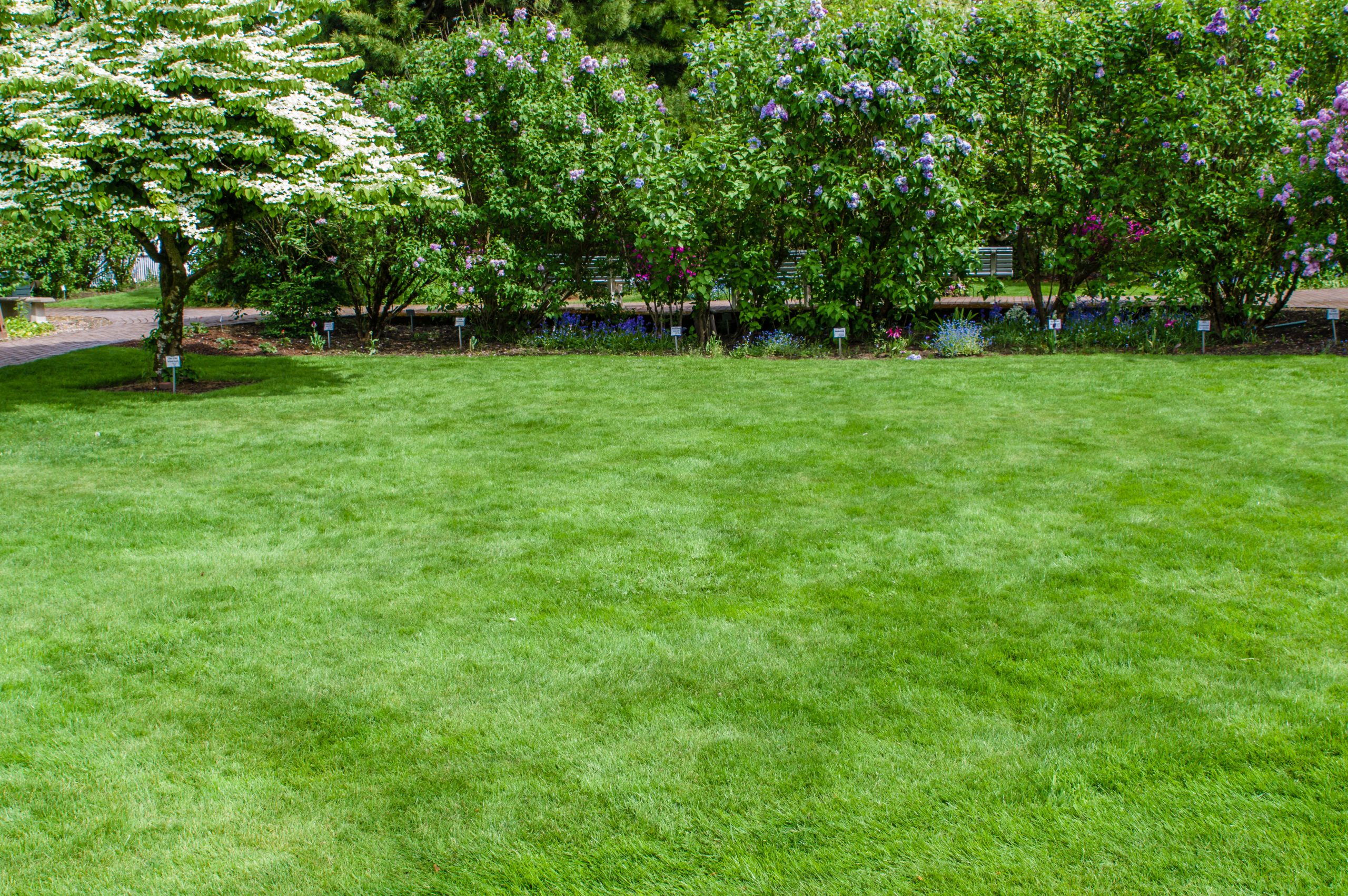 Residential Turf Care & Fertilization